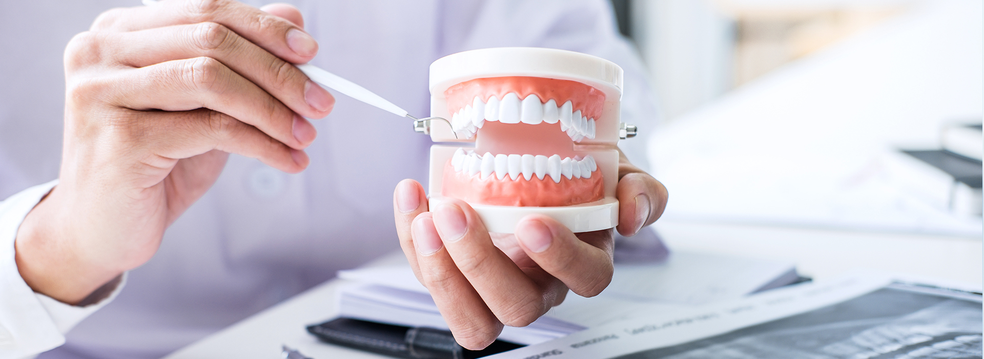 An individual holding a toothbrush with toothpaste over a dental model while another person appears to be working on a computer, both in a professional setting.