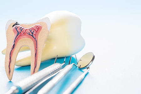 The image shows two dental models with teeth and gums, placed next to each other on a table, with various dental instruments such as a toothbrush and tweezers present in the background.